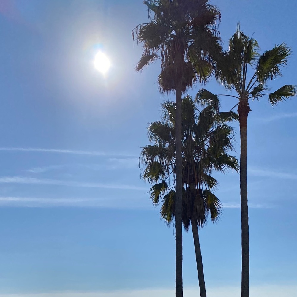 Meet your Posher, Lj